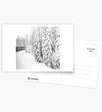 Over the hill and thru the woods... Postcards