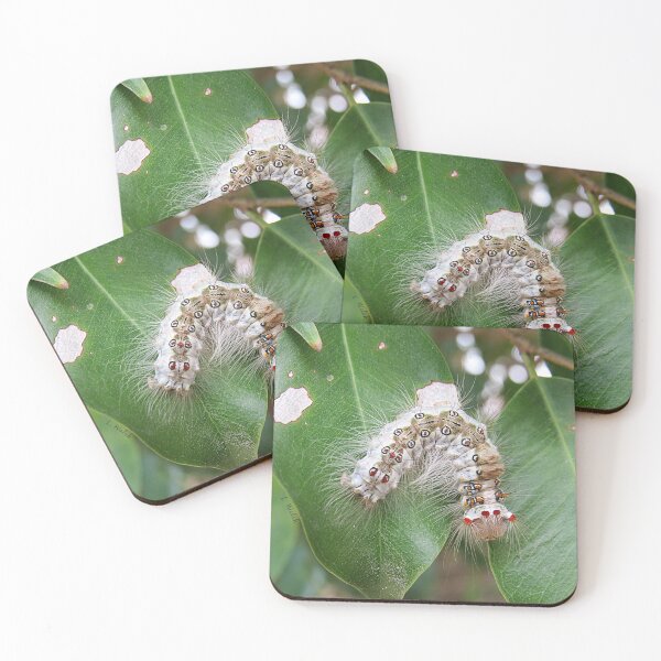 Item preview, Tussock Moth Caterpillar designed and sold by Linda Walsh.