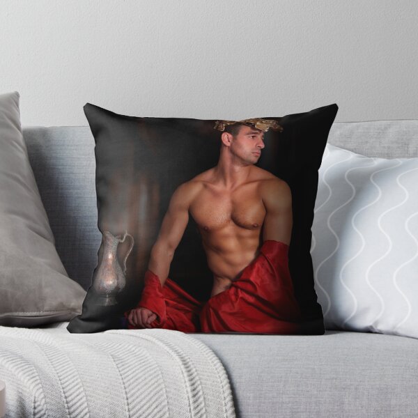 https://ih1.redbubble.net/image.927183868.5221/throwpillow,small,600x-bg,f8f8f8-c,0,120,600,600.jpg