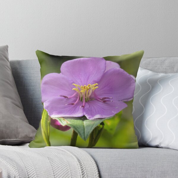 Item preview, Native Lassiandra (Melastoma malabathricum) flower. designed and sold by Connie Pinson.
