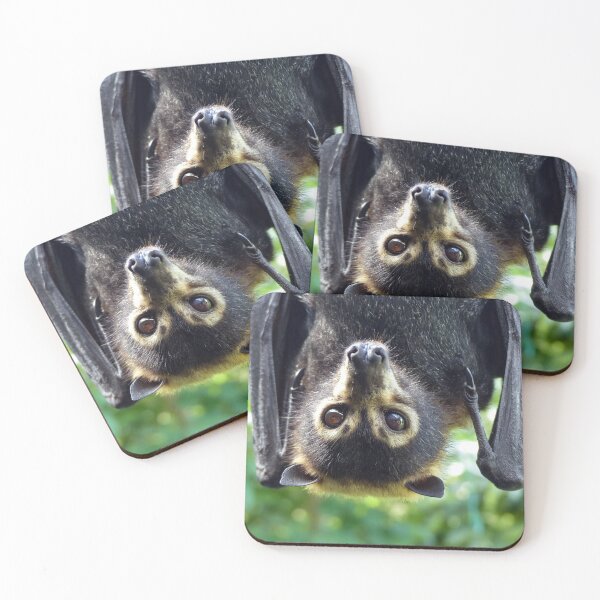 Item preview, Spectacled Flying-fox (Pteropus conspicilatus) designed and sold by Connie Pinson.