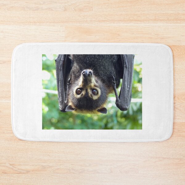 Item preview, Spectacled Flying-fox (Pteropus conspicilatus) designed and sold by Connie Pinson.