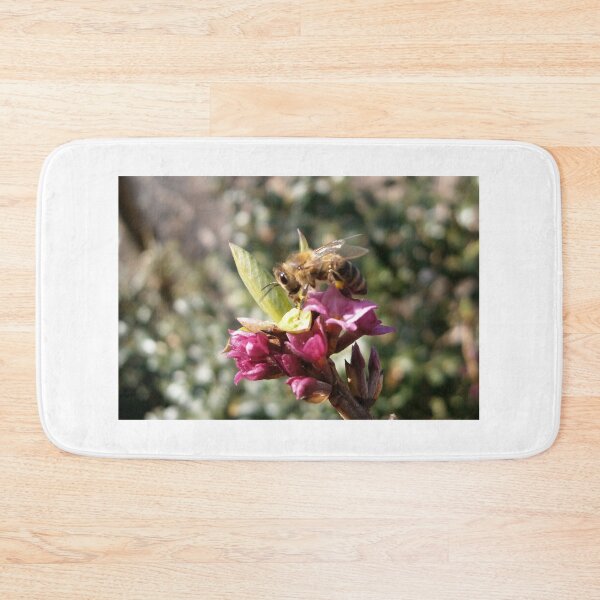 Item preview, Welcoming the renewal of spring designed and sold by crystalline.