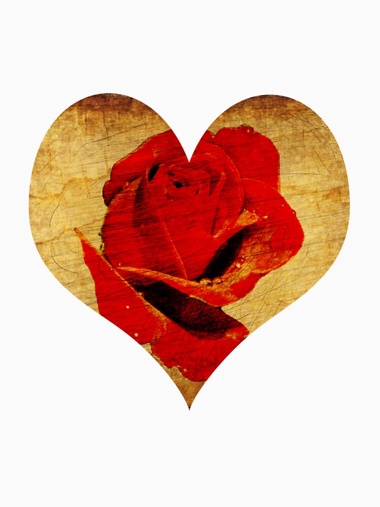 Rose,love,grunge,red. by starchim01