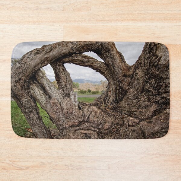 Item preview, Twisted Tree Trunk (in Canberra/ACT/Australia) (2) designed and sold by Wolf Sverak Photography.