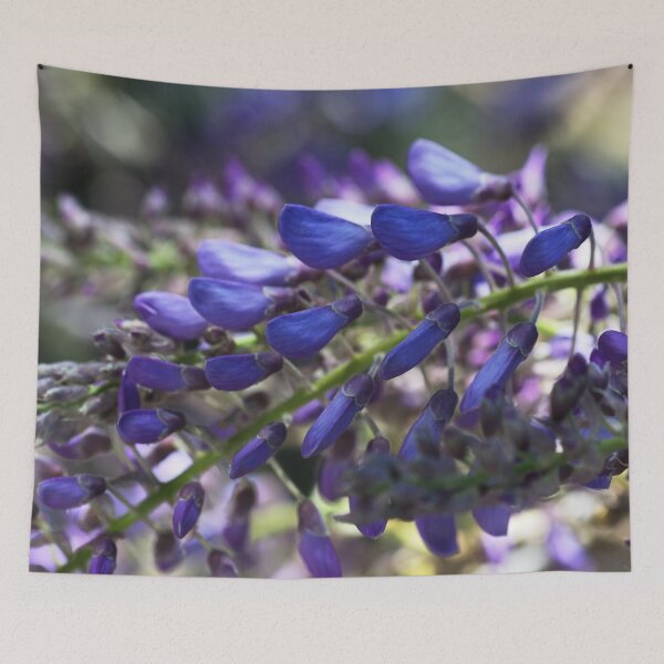Item preview, Magic Of Wisteria Buds designed and sold by Joy Watson - Natural Light Photography .