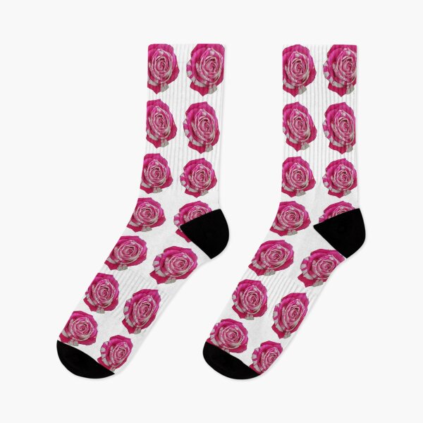 Item preview, Pink and White Rose on a transparent background designed and sold by ellenhenry.