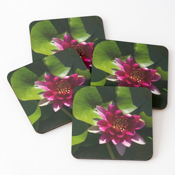 Item preview, Revealing Secrets - Fandango Pink Waterlily with a Golden Heart designed and sold by Georgia Mizuleva.