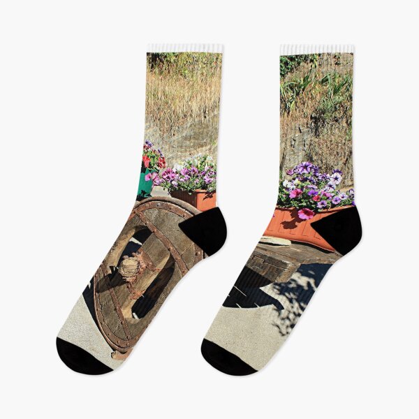 Item preview, Cart and flowers, El Camino, Spain designed and sold by FranWest.