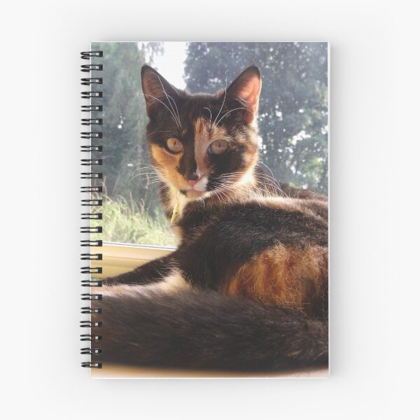 Item preview, surprised kitten designed and sold by mindgoop.