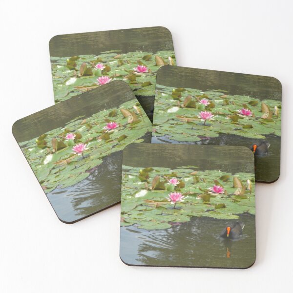 Item preview, Water Lilies and Koot, Victoria Park, Glebe, NSW, Australia designed and sold by C J Lewis.