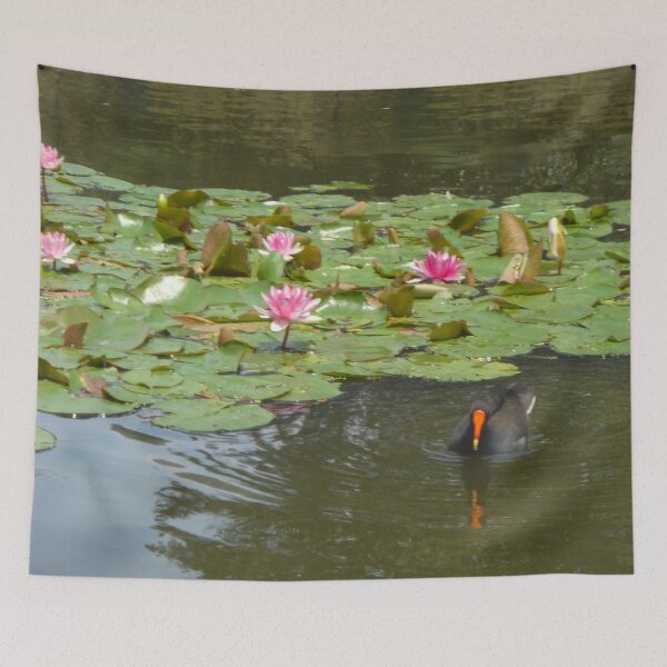Item preview, Water Lilies and Koot, Victoria Park, Glebe, NSW, Australia designed and sold by C J Lewis.
