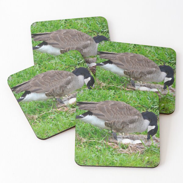 Item preview, Mother Goose With Eggs in Nest designed and sold by richardbryce.