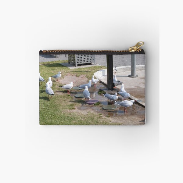 Item preview, SILVER GULLS love Water, even tap water to drink. Semaphore Foreshore. designed and sold by RitaBlom.