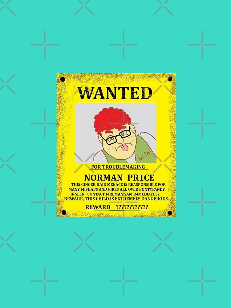 talking norman price