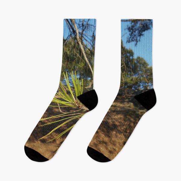 Item preview, Fir needles in the Provence in the South of France. designed and sold by Robert Elfferich.