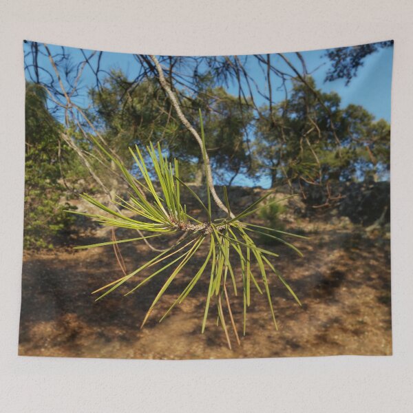 Item preview, Fir needles in the Provence in the South of France. designed and sold by Robert Elfferich.