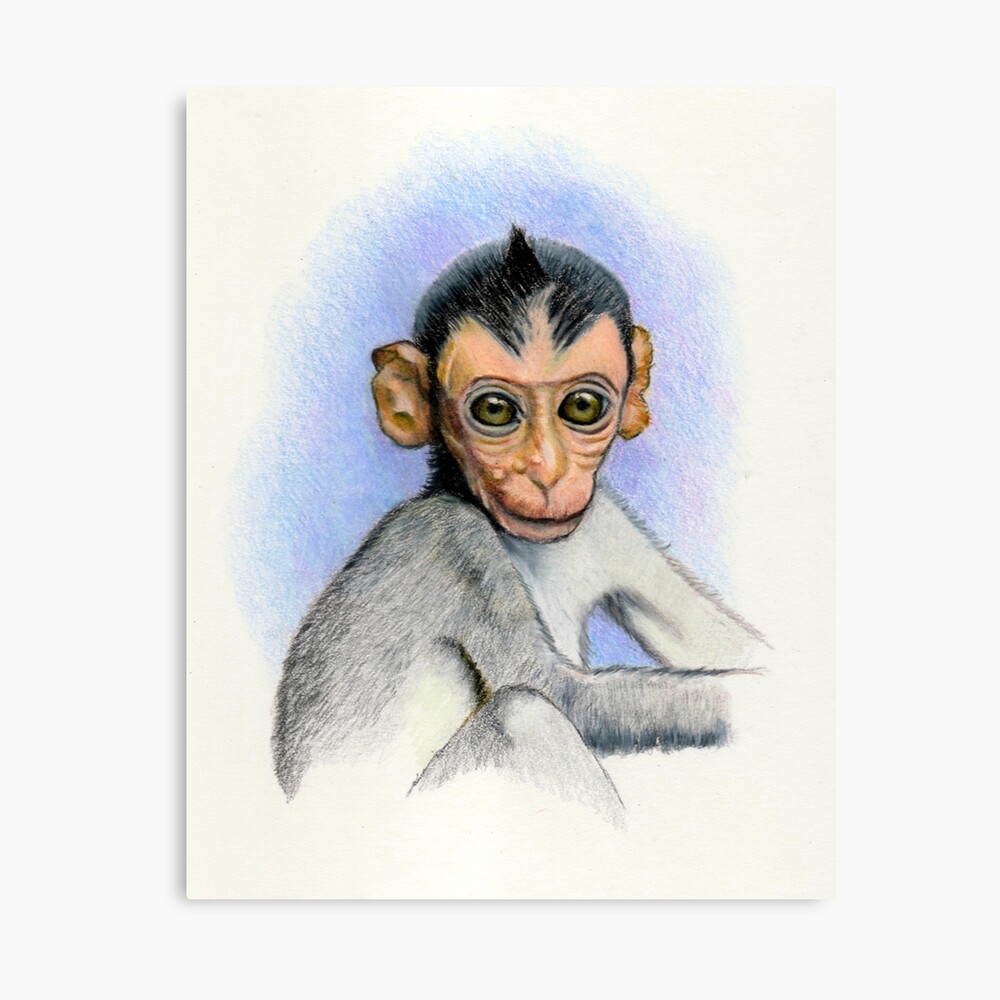 An Adult Pencils Hand Drawing A Chimpanzee Background, Monkey Drawing  Pictures, Monkey, Animal Background Image And Wallpaper for Free Download