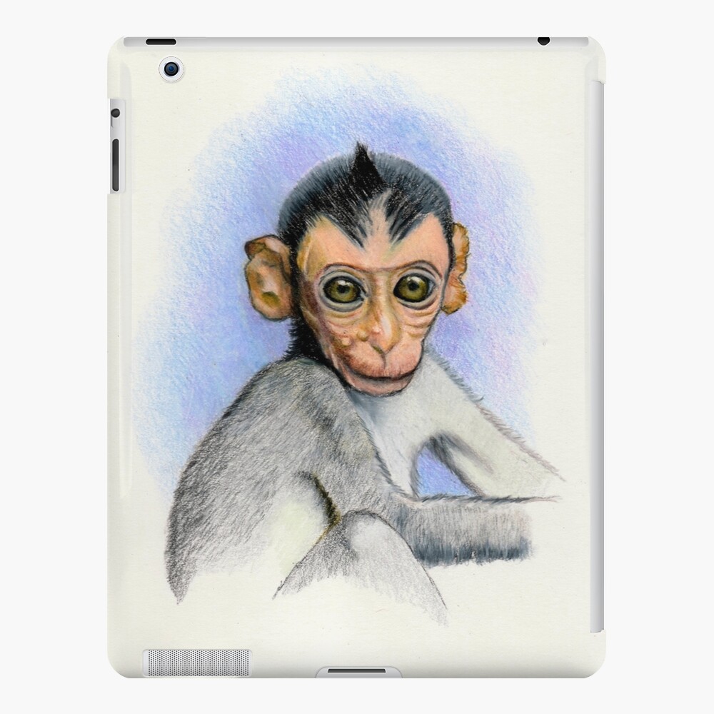 Clever Monkey Art Sketch Book and colored pencil set