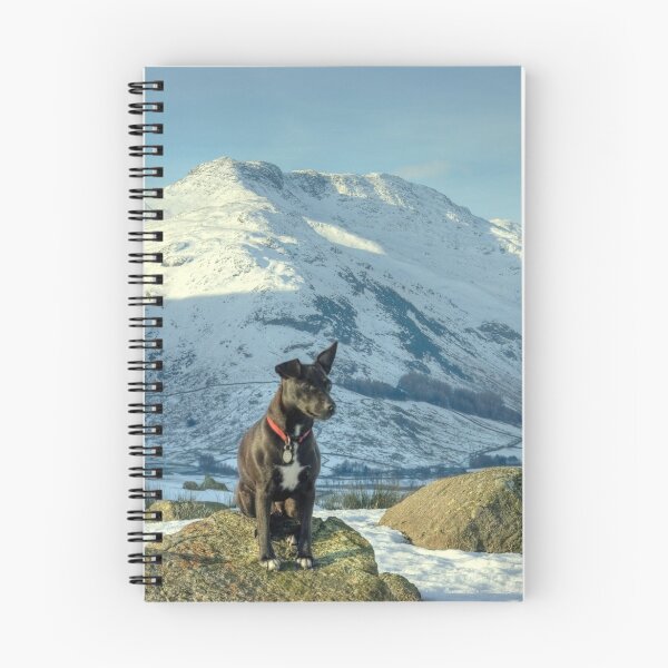 Item preview, Tarn the Terrier... By Bow Fell designed and sold by Jamie  Green.