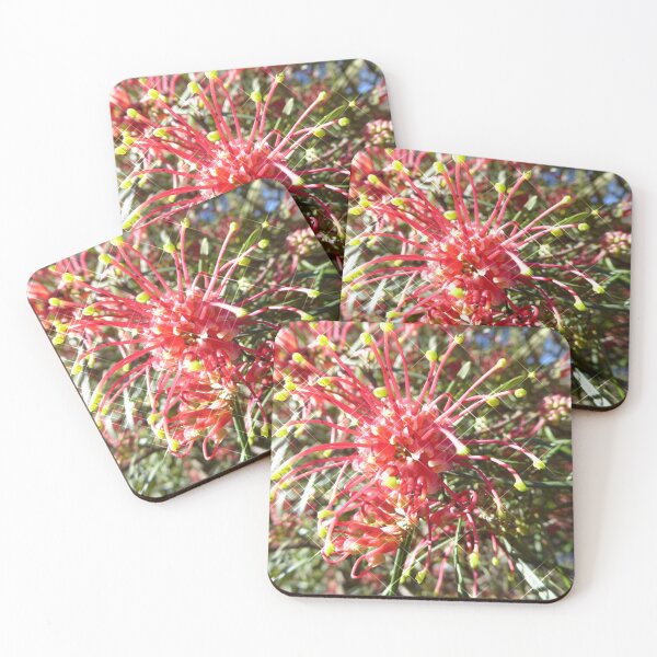 Item preview, Australian Native Grevillea 'Winpara Gem'. Sparkles, My Garden. designed and sold by RitaBlom.