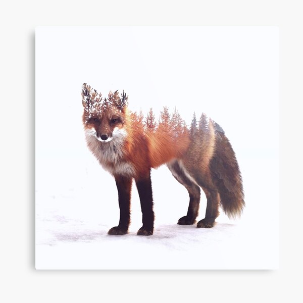 fox Metal Print