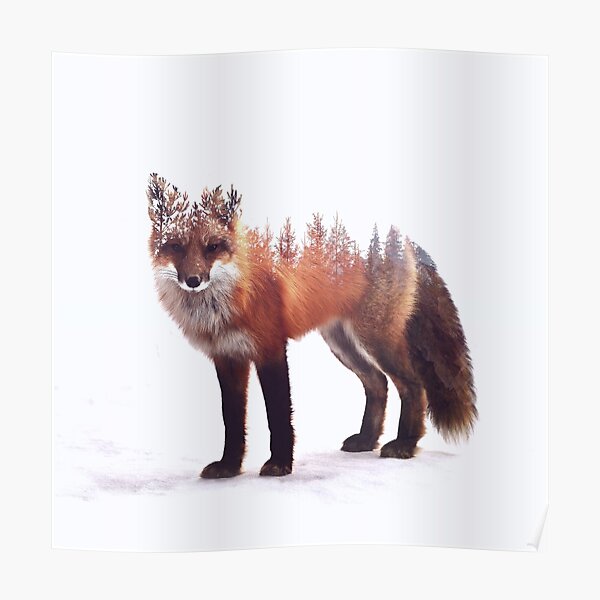 fox Poster