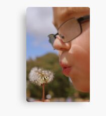 Natures Toys Canvas Print