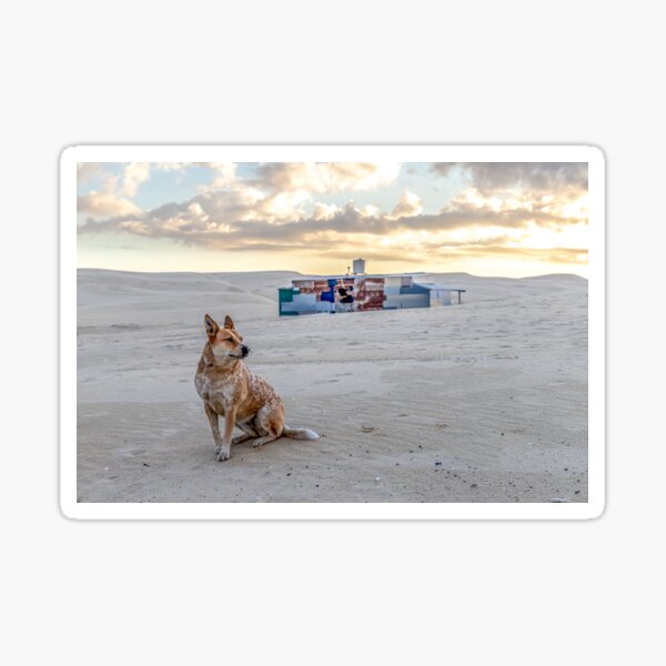 Item preview, Dog at Tin City designed and sold by Russell Charters.