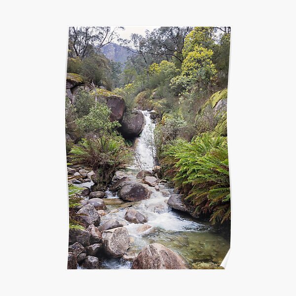 Ladies Bath Falls Poster