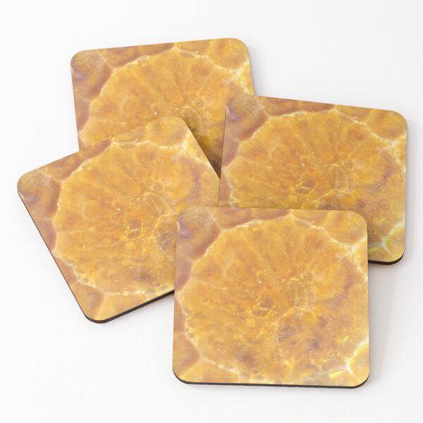 Item preview, Sun Burst by Raz designed and sold by MeyrellesMartin.