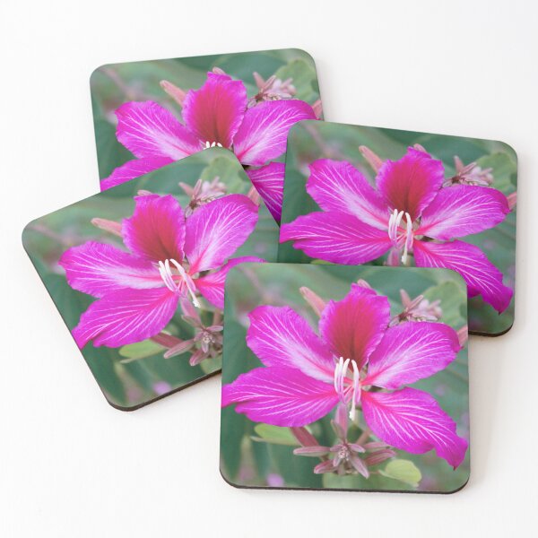 Item preview, Bauhinia Purpurea Orchid Flower designed and sold by Kerryn Madsen-Pietsch.