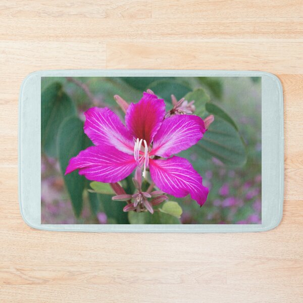 Item preview, Bauhinia Purpurea Orchid Flower designed and sold by Kerryn Madsen-Pietsch.