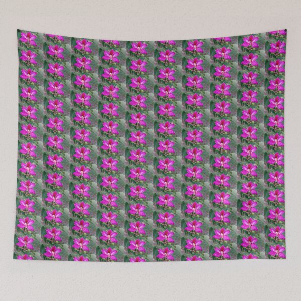 Item preview, Bauhinia Purpurea Orchid Flower designed and sold by Kerryn Madsen-Pietsch.