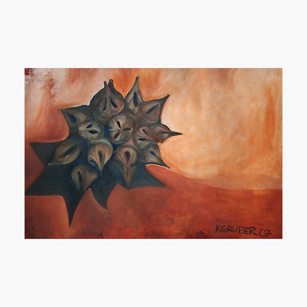 Seed Pod Photographic Print