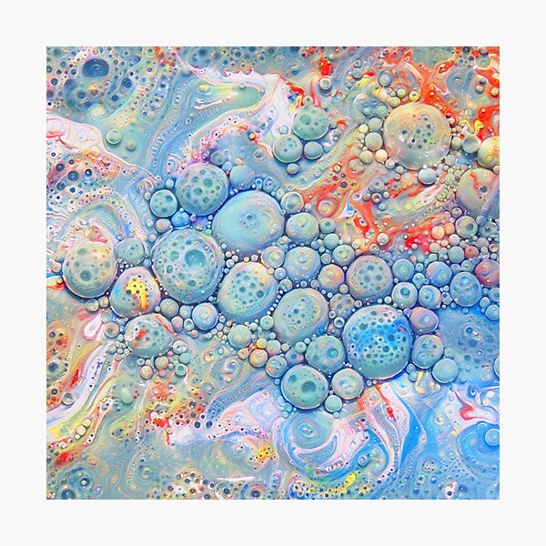 Photographic Print