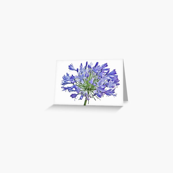 Nebula Explosion Greeting Card