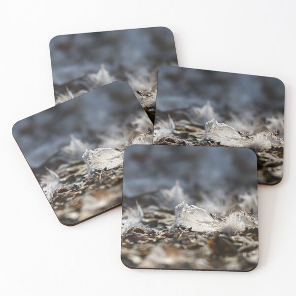 Item preview, Fallen feathers I designed and sold by GreyFeatherPhot.