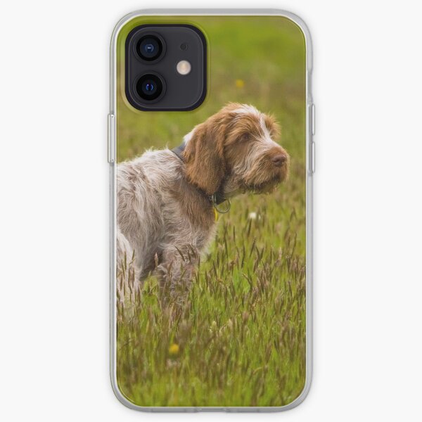 Puppy in a meadow Spinone iPhone Soft Case