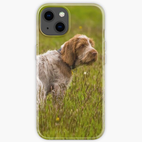 Puppy in a meadow Spinone iPhone Soft Case