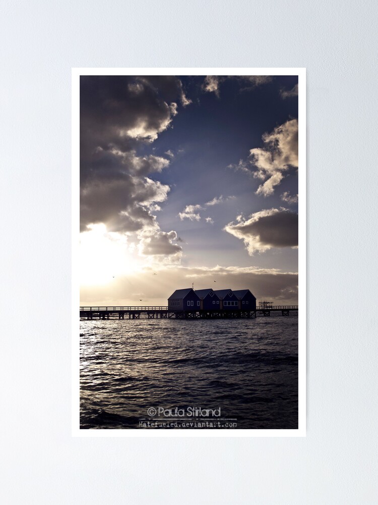 Thumbnail 1 von 3, Poster, Busselton Birds designt und verkauft von Gozza.