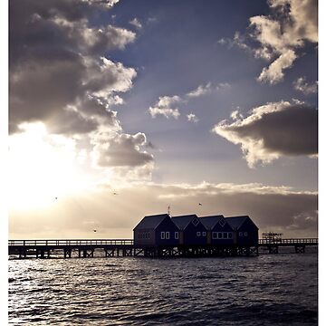 Vorschaubild zum Design Busselton Birds von Gozza