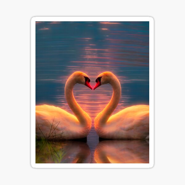 Item preview, Two swans making a heart with their necks designed and sold by With My Hands By K.