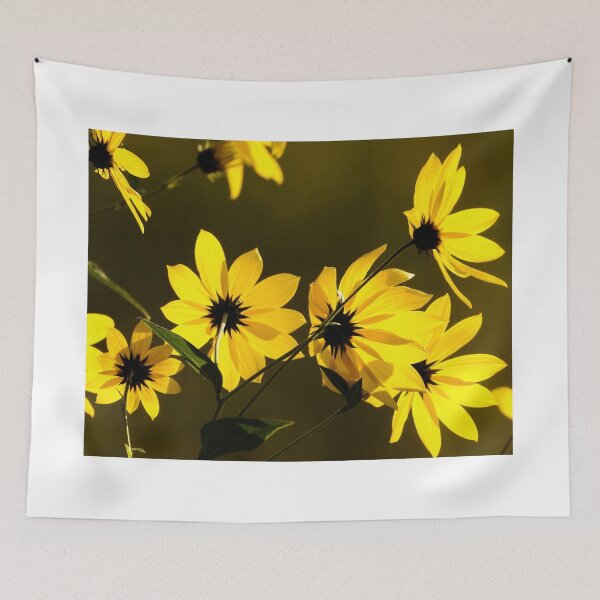 Item preview, Backlit designed and sold by DueNorthGallery.