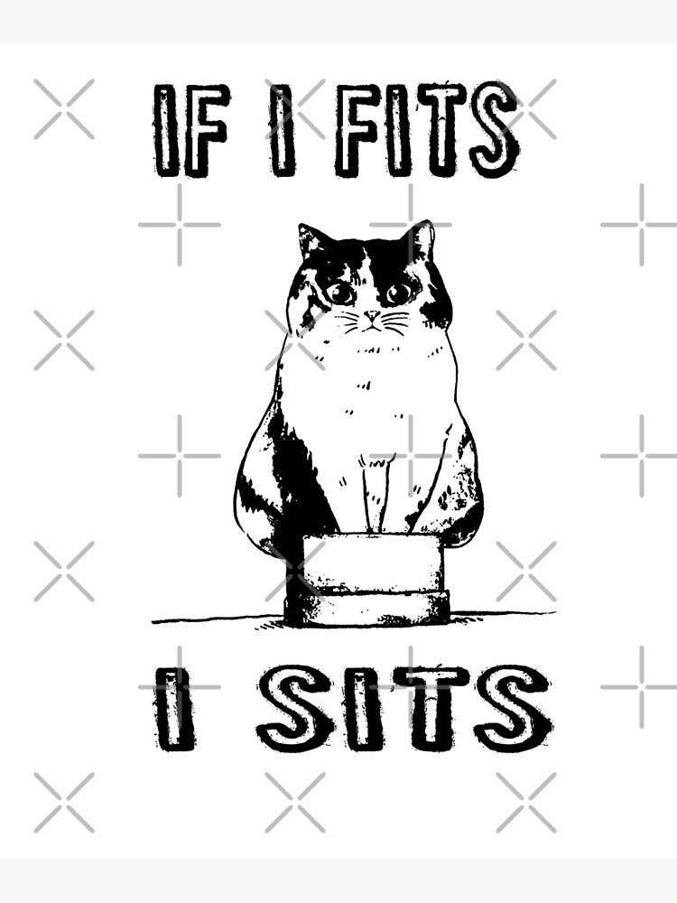 If I Fits I Sits Cat Meme Shirt Funny Cat In A Box T-Shirt If I Fits I Sits Cat Meme Shirt Funny Cat In A Box T-Shirt
