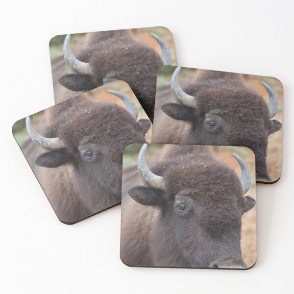 Item preview, American Bison outdoors designed and sold by Allen Penton.