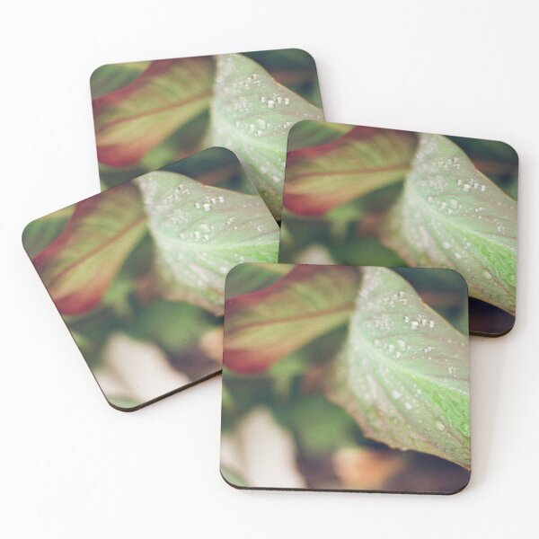 Item preview, After the Rain designed and sold by hoganburleigh.