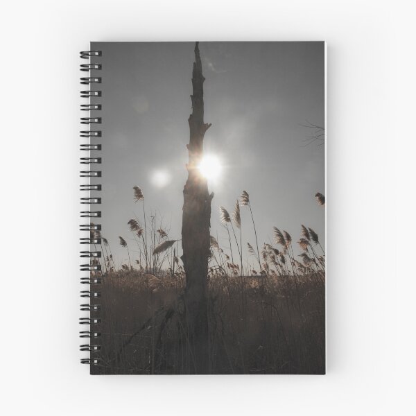 Item preview, Sun and Grass designed and sold by Klezedawg Imaging.