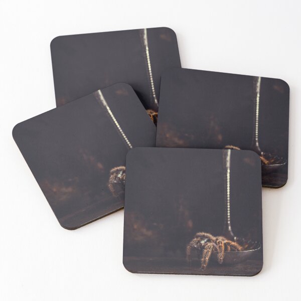 Item preview, tarantula and ladle designed and sold by alan shapiro.