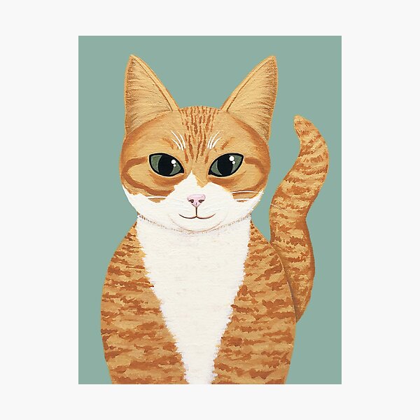 Orange Tabby Cat Photographic Print